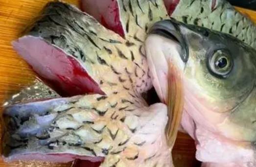 糖尿病患者可以吃草魚嗎?吃草魚會上火嗎?