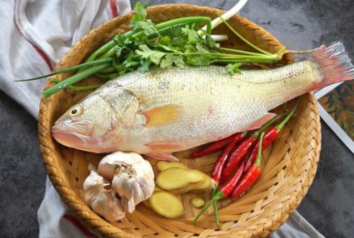 吃鱸魚會上火嗎?鱸魚有哪些營養價值?