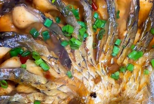 經期可以吃草魚嗎?吃草魚可以吃柿子嗎?