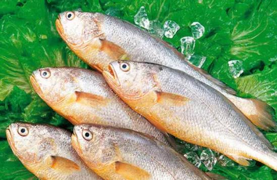 經期可以吃黃花魚嗎?黃花魚不黃正常嗎?