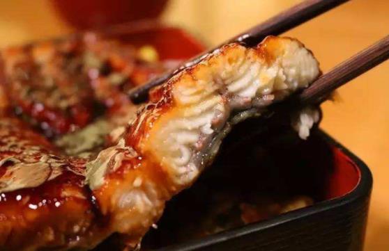 經期可以吃鰻魚嗎?鰻魚有哪些功效?