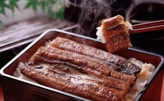 吃鰻魚真的以可補腎嗎?鰻魚的哪些部位不能吃?