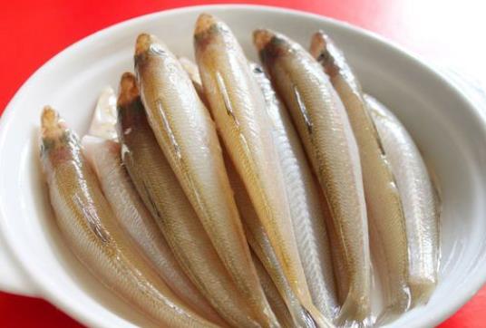 小孩可以吃沙丁魚嗎?怎么選購沙丁魚?