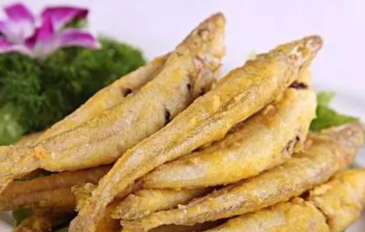 哪些人不宜吃沙丁魚?沙丁魚有哪些營養價值?