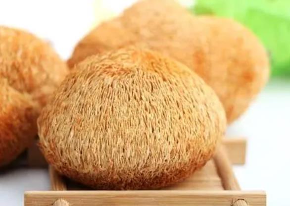 猴頭菇的功效和作用是什么?猴頭菇真的能夠養(yǎng)胃嗎?