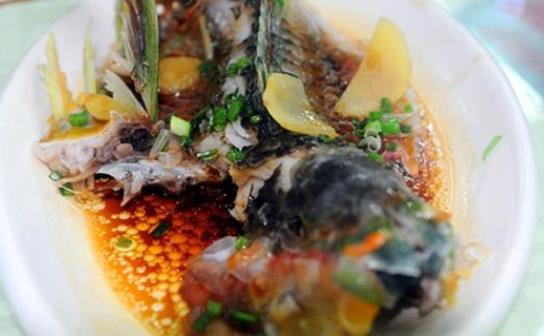 經期可以吃石斑魚嗎?冷凍的石斑魚有毒沒有?