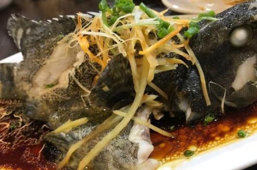 經期可以吃石斑魚嗎?冷凍的石斑魚有毒沒有?