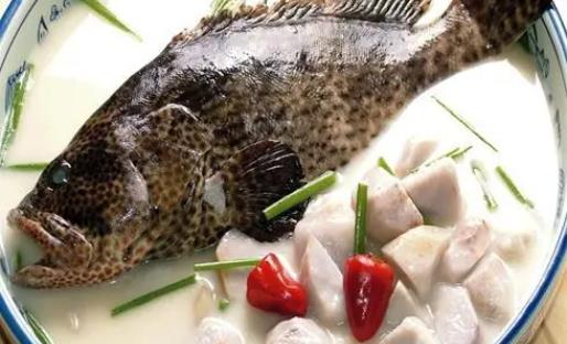 糖尿病患者可以吃石斑魚嗎?石斑魚不宜和什么一起吃?