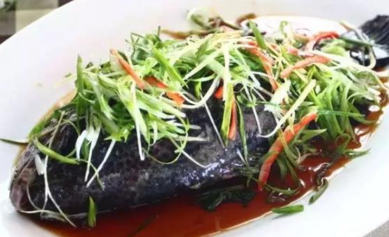 石斑魚可以空腹吃嗎?石斑魚的魚膽可以吃嗎?