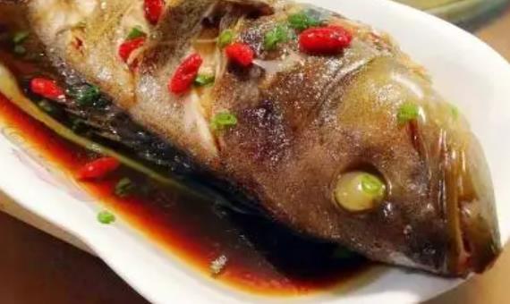 石斑魚可以空腹吃嗎?石斑魚的魚膽可以吃嗎?