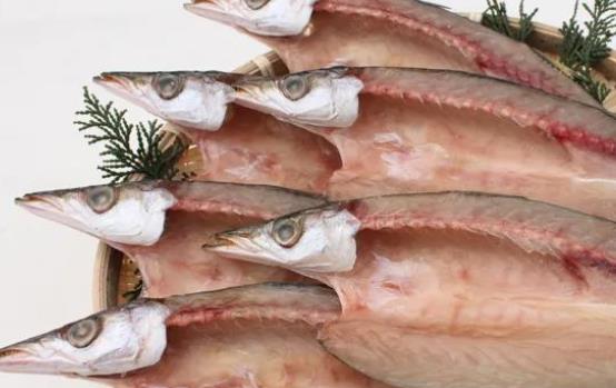 產婦可以吃梭魚嗎?梭魚的那個部位有毒?