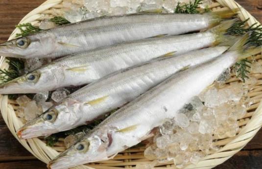 孕婦可以吃梭魚(yú)嗎?梭魚(yú)是海水魚(yú)還是淡水魚(yú)?