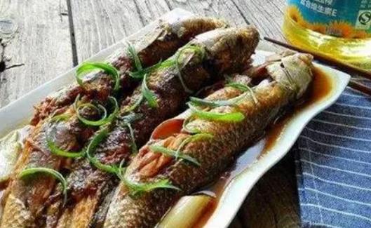 孕婦可以吃梭魚(yú)嗎?梭魚(yú)是海水魚(yú)還是淡水魚(yú)?