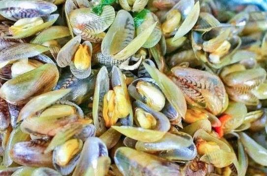 經期可以吃海瓜子嗎?海瓜子不能和什么一起吃?