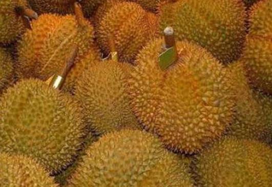 榴蓮能冷凍多久?榴蓮如何判斷成熟了沒(méi)?