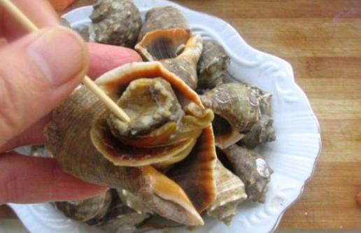 孕婦可以吃海螺嗎?海螺的內臟可以吃嗎?