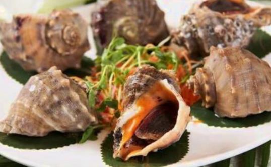 經期可以吃海螺嗎?海螺有哪些功效?