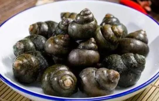 石螺是發物嗎?吃石螺有哪些好處?