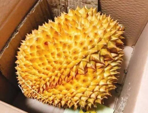 經期吃榴蓮能排毒排污血是真的嗎?有青草味道的榴蓮能吃嗎
