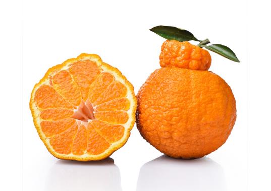 為什么吃丑橘不會(huì)上火?丑橘一天最多能吃幾個(gè)?