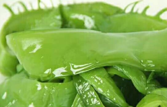 脯乳期可以吃海白菜嗎?海白菜可以生吃嗎?