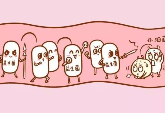 為什么要補充益生菌?服用益生菌要注意什么?