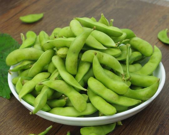 發芽的毛豆可以吃嗎?沒熟的毛豆有沒有毒?