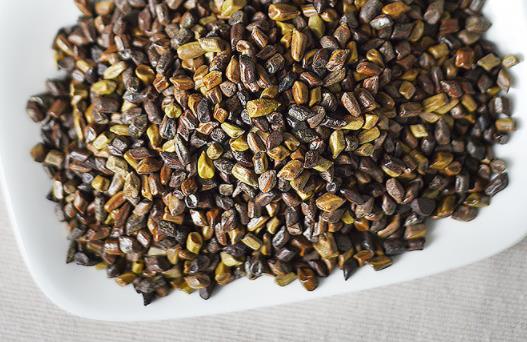 體內濕氣重可以喝決明子嗎 決明子茶和苦蕎茶能一起喝嗎
