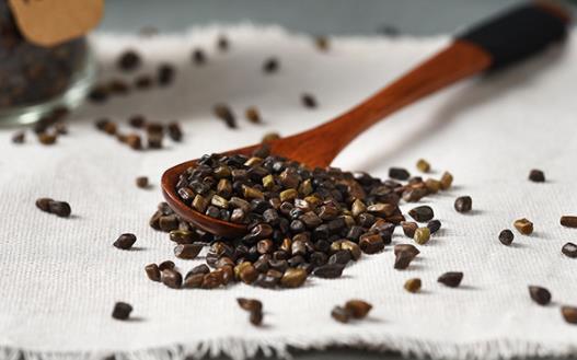 體內濕氣重可以喝決明子嗎 決明子茶和苦蕎茶能一起喝嗎