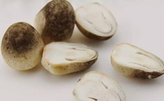 痛風(fēng)可以吃草菇嗎?草菇有哪些功效?