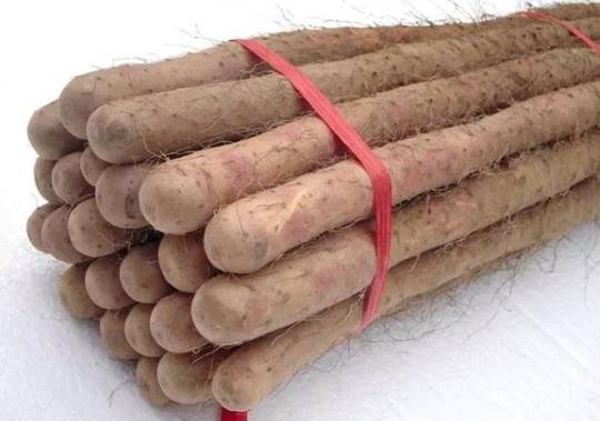 山藥干可以直接吃嗎?吃發(fā)芽的山藥會怎樣?