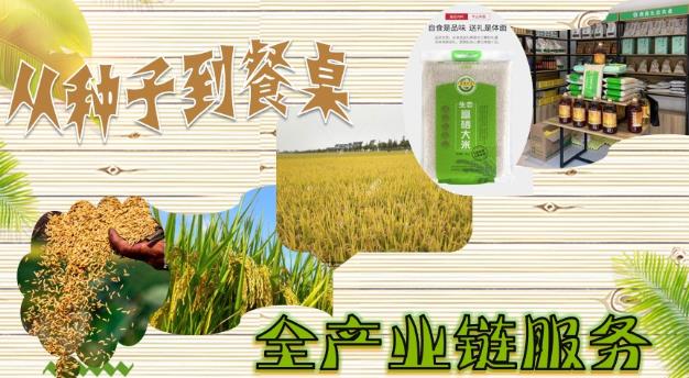 立足生態農業,發揚食養文化——領尚食方緣的食養方法論