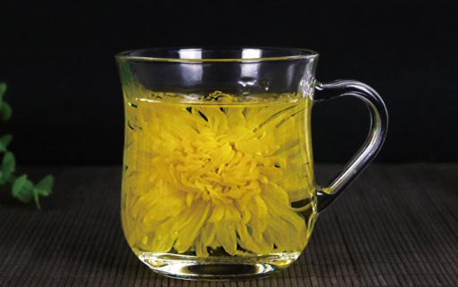 女人經常喝菊花茶好嗎 什么人不適合喝菊花茶