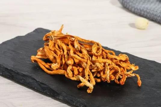 哪些人不宜吃蟲草菇?蟲草菇有哪些功效?