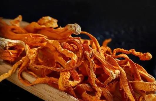 孕婦可以吃蟲草菇嗎?蟲草菇和什么一起吃好?