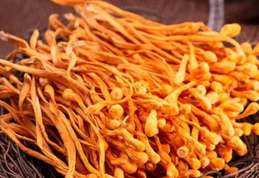 孕婦可以吃蟲草菇嗎?蟲草菇和什么一起吃好?