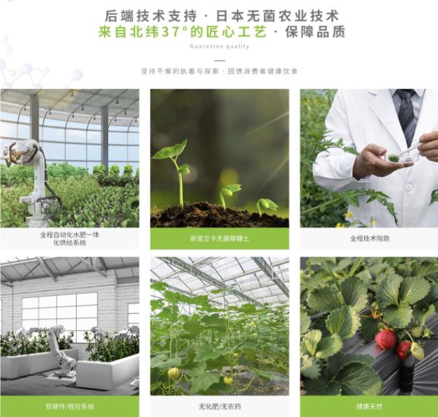 道同漢方溯源行動(dòng) 致力打造真溯源、真綠色、全封閉式的產(chǎn)業(yè)平臺