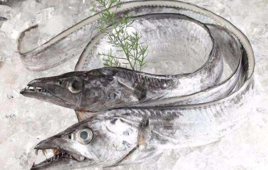 帶魚表面銀色需要去掉嗎 帶魚會導(dǎo)致過敏嗎