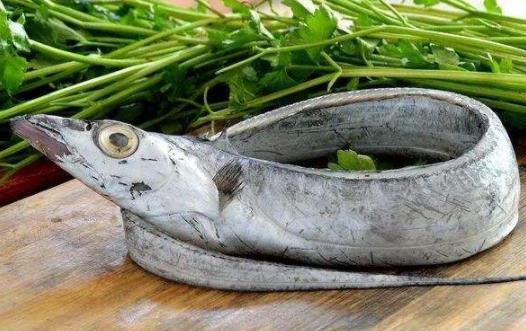 帶魚表面銀色需要去掉嗎 帶魚會導(dǎo)致過敏嗎