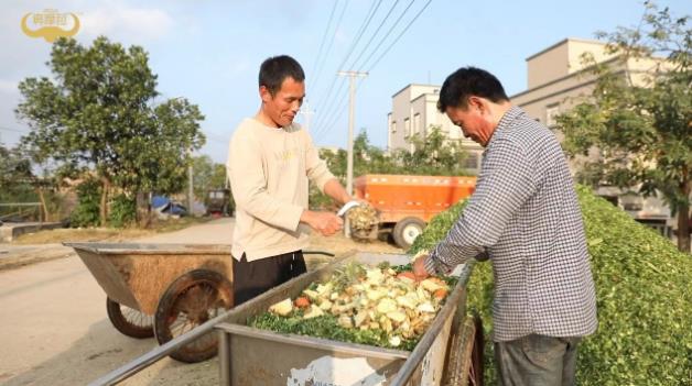 真摩菈:高營養低負擔,水牛奶“輕”飲新選擇