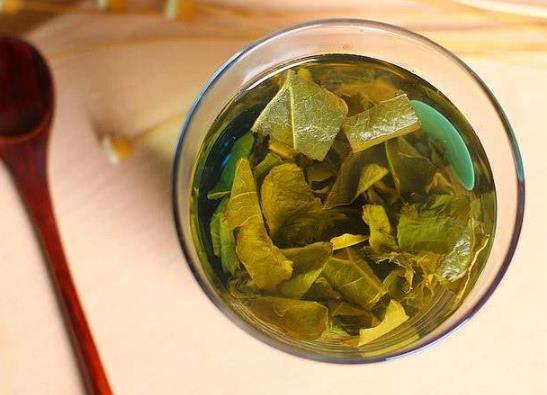 喝菊苣梔子茶真的能降低尿酸嗎?菊苣梔子對腎有沒有副作用