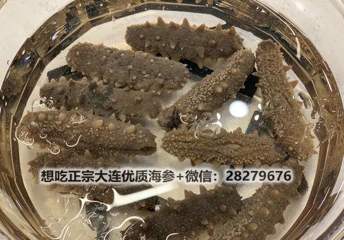 海參的泡發(fā)方法竟如此簡單!細數(shù)干海參泡發(fā)的正確方法 src=http___i5.chuimg.com_02247e5bad874aea89fc2f65d070b915_4032w_3024h.jpg&refer=http___i5.chuimg.jpg