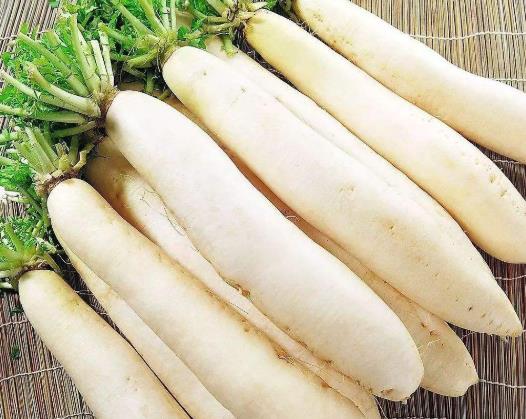 蘿卜放著為什么會(huì)長(zhǎng)葉子?藍(lán)色的白蘿卜可以吃嗎