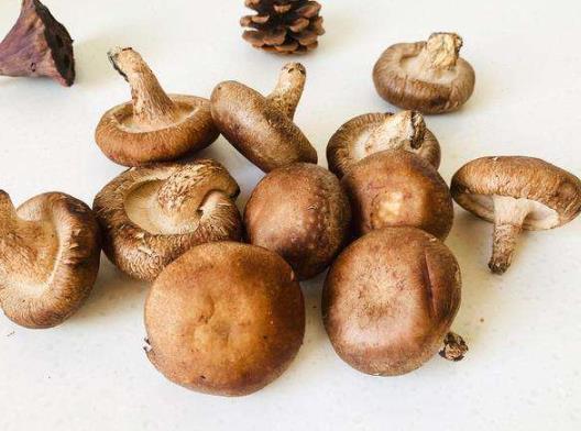 怎樣泡發香菇可以保持原味?香菇是炒的香還是燉的香