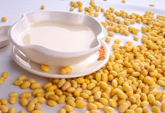 豆漿放保溫杯第二天喝可以嗎?怎么看豆漿壞沒壞