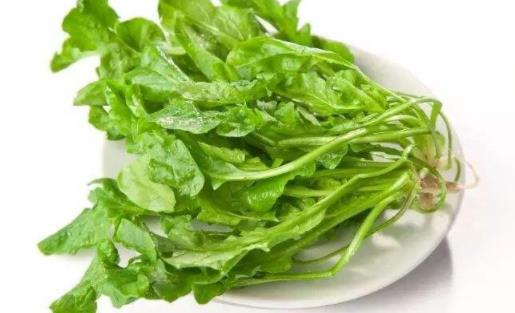 薺菜發黃了還能吃嗎 薺菜怎么存放時間長