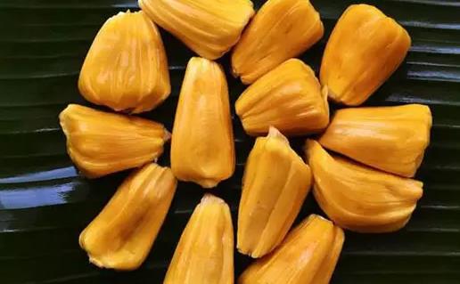 菠蘿蜜不太熟切開會(huì)壞嗎 已經(jīng)打開的菠蘿蜜怎么催熟