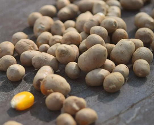 山藥豆去皮后發(fā)紅可以吃嗎?山藥豆帶皮吃血糖會升高嗎