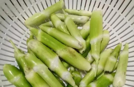 茭白可以治療黃疸嗎?茭白不宜和什么一起吃?