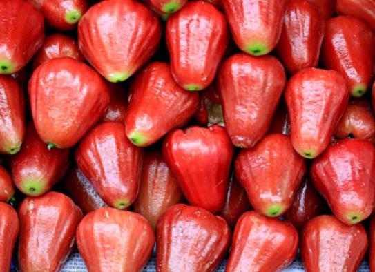 蓮霧凍傷了還能吃嗎?蓮霧冷凍了怎么辦